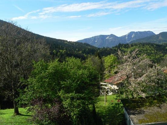 Fembacherhof Siegsdorf Bagian luar foto
